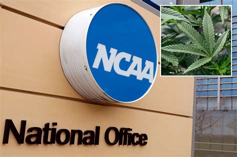 NCAA committee recommends dropping marijuana from banned drug list for athletes